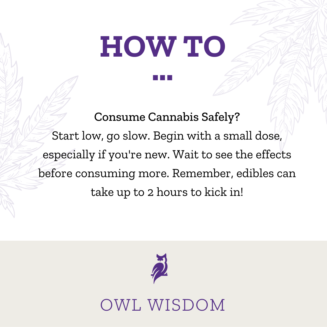 Purple Owl Dispensary - How To 01