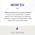 Purple Owl Dispensary - How to understand different consumption methods - 02-21-2024
